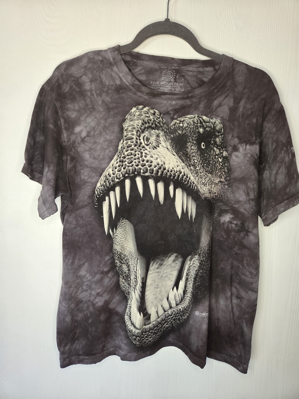 The Mountain Dinosaur Graphic Tee - Gray Tie-Dye
